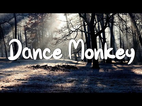 Dance Monkey - Tones and I (Lyrics) || Ed Sheeran, The Chainsmokers,... (Mix Lyrics)