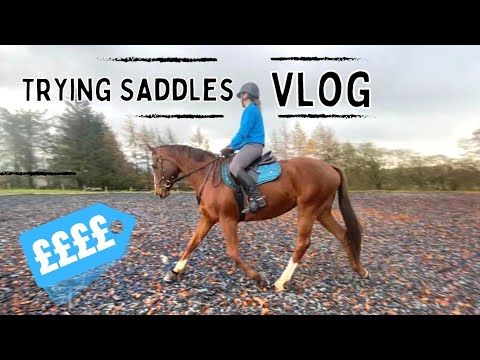 TRYING SADDLES TO BUY!