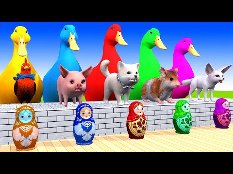 5 Giant Duck Cartoon,Cow,Elephant,Rabbit,Tiger,Lion, Paint Wild Animals Crossing Fountain Animation