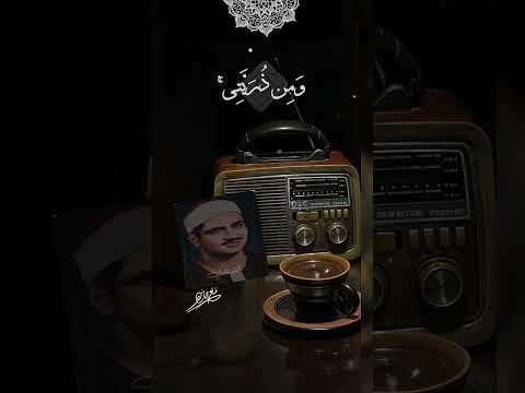 محمد المنشاوي