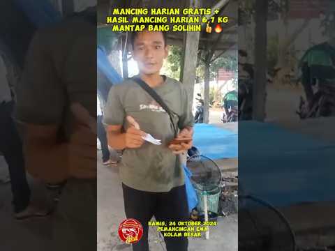 MANCING GRATIS! HASIL MANCING HARIAN 6,7 KG DI PEMANCINGAN EMA