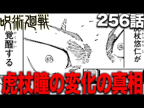 【呪術廻戦】虎杖瞳の変化の真相、これだったら本当にエグい・・・【最新256話解説】【ネタバレ】【考察】