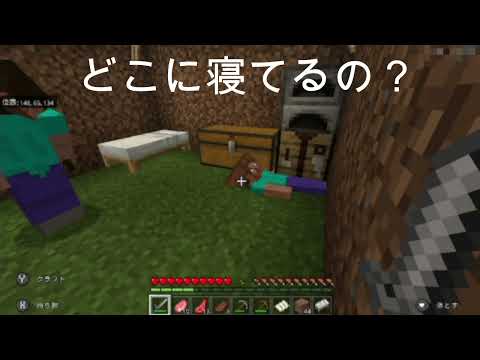 【マイクラ】面白い写真！