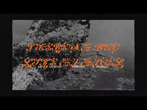 Mitski - Bug Like an Angel (Spanish Lyric Video)