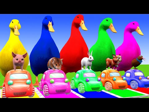 5 Giant Duck Cartoon,Cow,Mammoth,Tiger,Lion,Dinosaur, Paint Wild Animals Crossing Fountain Animation