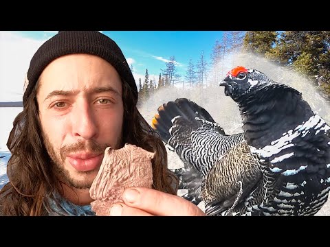 Wild Chicken Bow Hunting | Cooking The Right Way