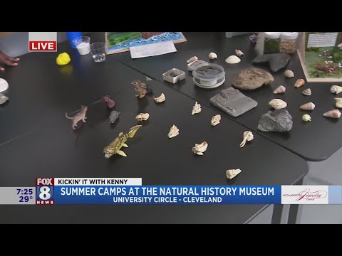 Renovated museum offers summer camps for kids of all ages