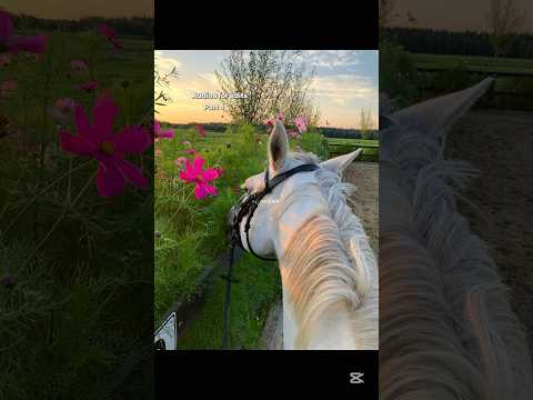 Audios for edits || Part 4🤍 #audios #edits #horses