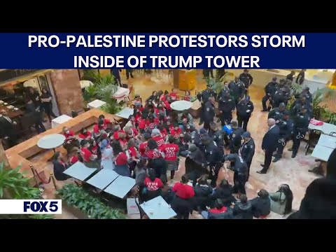 Pro-Palestine Protestors escorted out of Trump Tower with zip ties around their wrist