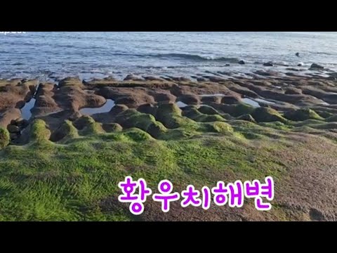 황우치해변 이끼 사계해변 산방산