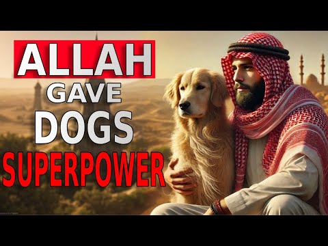 What I Learned About Dogs in Islam Will Blow Your Mind!