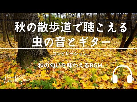 Natural Sonic「 秋の散歩道で聴こえる虫の音とギター」- コンピレーション - 秋の匂いが感じられるBGM