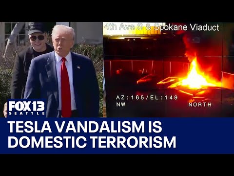 Trump: Tesla vandalism is domestic terrorism