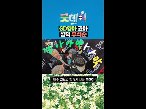 [굿데이] GD형아 죠아 성덕 부석순, MBC 250309 방송