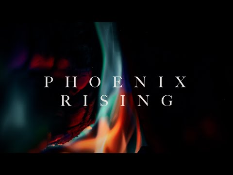 Music To Be Motivated By: Sami J. Laine & Michael Yang – Phoenix Rising