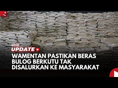 Wamentan Pastikan Beras Bulog Berkutu Tak Disalurkan ke Masyarakat