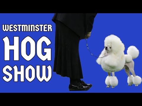 Westminster Hog Show