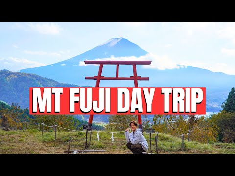 What to do around Mt Fuji with Japanese Local Guide