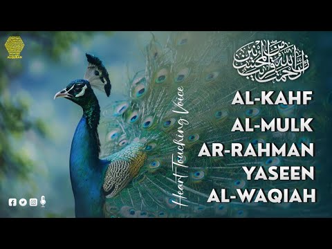 Surah Kahf, Surah Mulk, Surah Rahman, Surah Yaseen, Surah Waqiah ✦ Hijazi