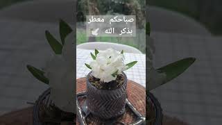 #صباحكم_معطر_بذكر_الله#ذكر_الله  #صباح_الخير#رمضان #دعاء