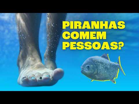 As PIRANHAS São Realmente Perigosas?