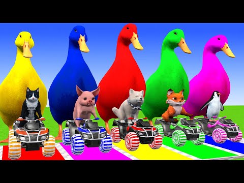 5 Giant Duck, Monkey, Piglet, chicken, dog, mammoth,tiger, Sheep, Transfiguration funny animal 2023