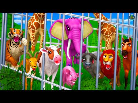 The Great Zoo Escape Adventure: Animals in Cage - Wild Animals Encounters | Tiger Lion Elephant Cow