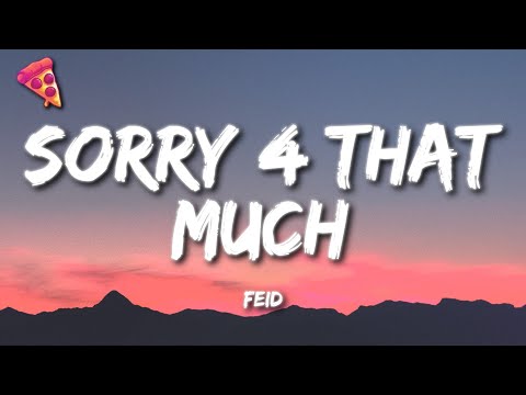 Feid - SORRY 4 THAT MUCH (Letra)