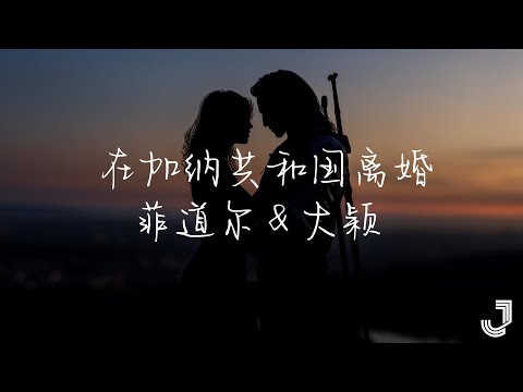 菲道尔 & 大颖  - 在加納共和国离婚 【动态歌词 Lyrics】