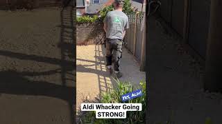 ALDI WHACKER STILL GOING STRONG!!💪🏼💪🏼💪🏼 #aldi #tools #toolreviews #construction #builder