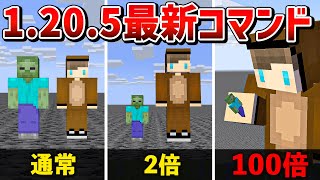 【最新1.20.5】絶対に見た方がいいマイクラ雑学・検証11選