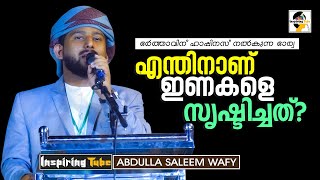 എന്തിനാണ് ഇണകളെ സൃഷ്ടിച്ചത്? Abdulla Saleem Wafy