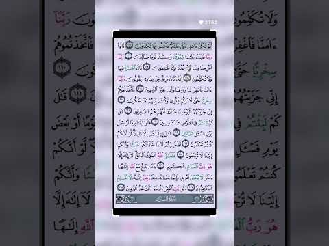 سورة المؤمنين الاية 105صوت 🔊روعة مشاالله استمع 👂🎧ولاجر لي ولك ان شاءالله❤😍#القرانالكريم #القر