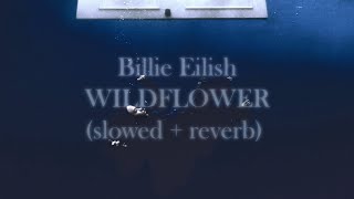 Billie Eilish - Wildflower (Perfectly Slowed + Reverb 'Ethereal')