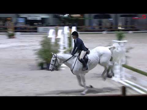 Hunter Jumper Equitation Sylvie Ruissen