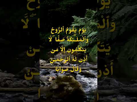 Heart Touching, Beautiful and Calming Recitation Quran to Relieve Stomach Disease and Peace of Mind