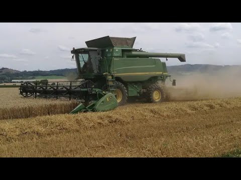 Žně 2024 | Pšenice | John Deere T670, C670, Claas Lexion 670