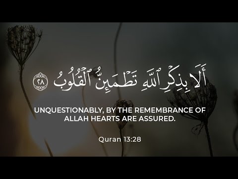 قران كريم بصوت جميل جدا قبل النوم 😌 راحة نفسية لا توصف 🎧 Quran Recitation