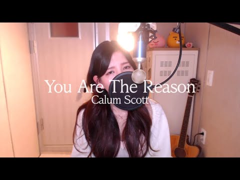 Calum Scott-You Are The Reason COVER BY HYUNEE