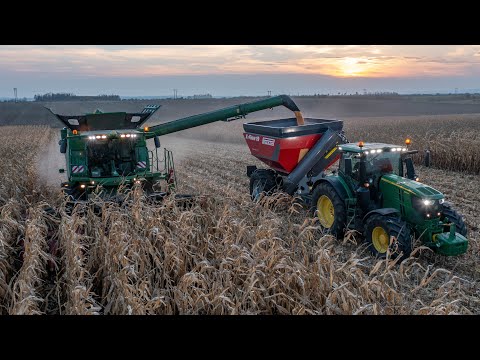 Harvesting maize for grain | JOHN DEERE 6250R & PERARD X-Flow 19 & JOHN DEERE S780i + Geringhoff