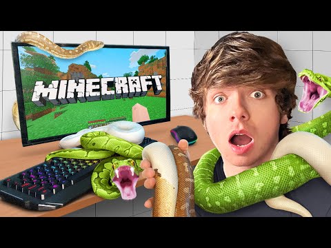 I Beat Minecraft in a Room Filled with Snakes