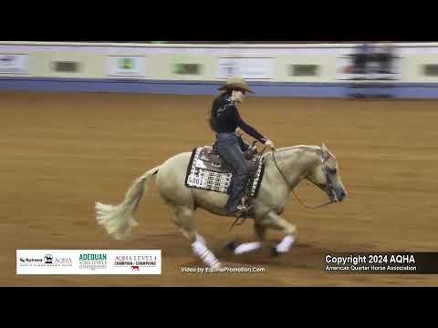 Amateur Reining - 2024 AQHA World Championship Show