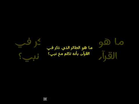 #القرآن_الكريم #سورة_الفرقان #محمد_اللحيدان #اكسبلور #قران_كريم #راحة_نفسية #لايك #تصميمي#سنن_الرسول