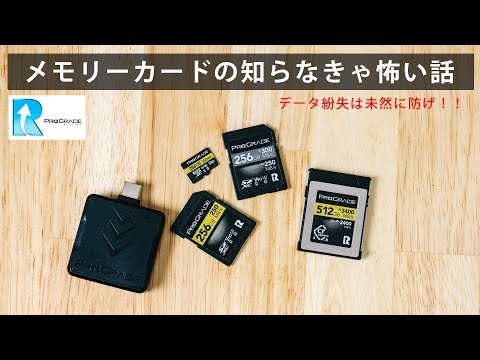 Refresh Proの使い方と実は知らない人が多いデータ紛失の原因