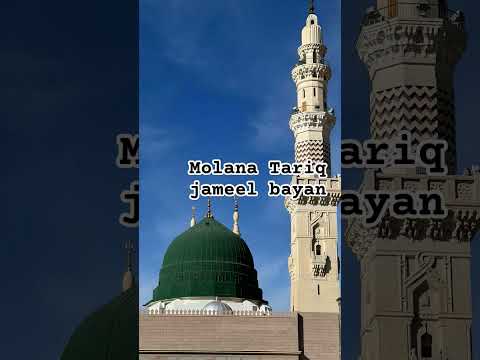 Molana tariq jameel bayan #molana #jameel #tariq #sahab #islamicshorts #shortsvideo #whattsupstatus