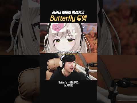 습순이 백서향과 butterfly 듀엣 #노래 #vtuber #러브