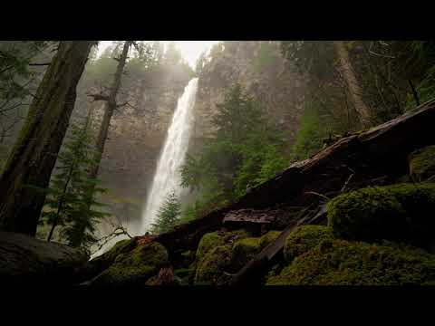 8 Hours Relaxing Waterfall in Forest and Nature Sounds 4K - ASMR, Deep Sleep, Relax | Great Escapes