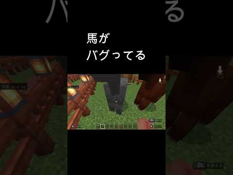 【マイクラ】馬がめっちゃバグってる