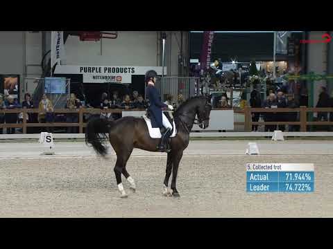 CDI-U25 Grand Prix Thalia Rockx