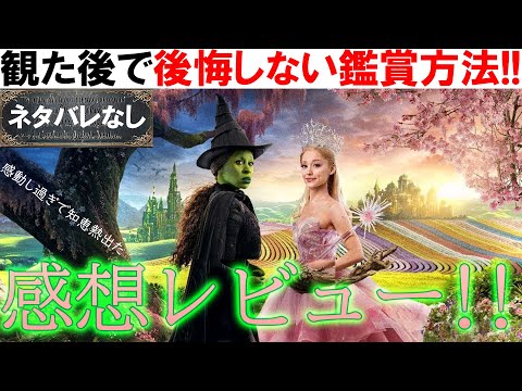 重力を打ち破れ!!!!映画『ウィキッド ふたりの魔女』感想レビュー ネタバレなし！！今年最高峰ミュージカル！！エルファバ（シンシア・エリヴォ）とグリンダ（アリアナ・グランデ）の歌声エグい